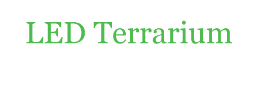 Site Logo Green Animation